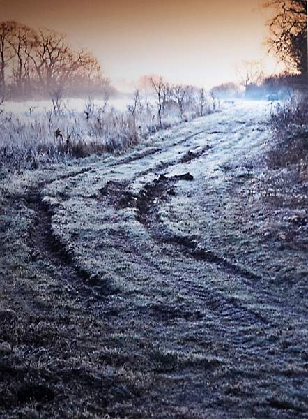 Misty Morning - Scott Brown.jpg